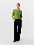 OBJECT OBJTHESS KOFTA, Peridot, highres - 23040627_Peridot_999304_005.jpg