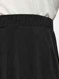 Object Collectors Item A-LINE SKIRT, Black, highres - 23038961_Black_007.jpg