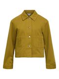 Product image thumbnail - JACKE, Fir Green | 1